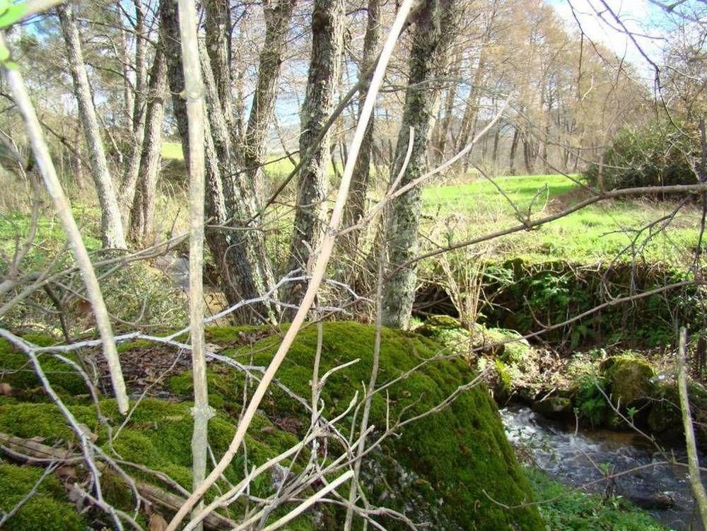 Quinta de Seves Covilhã Exterior foto